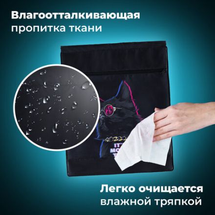 Мешок для обуви BRAUBERG, с петлёй, карман на молнии, 47х37 см, "Movie time", 270910