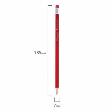 Карандаши цветные стираемые с ластиком BRAUBERG ERASABLE, 12 цветов, шестигранные, грифель 3 мм, натуральное дерево, 181932