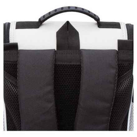 Ранец GRIZZLY анатомическая спинка, с мешком для обуви, для девочек, "BLACKY", серый, 33х25х13 см, RAm-584-1/2