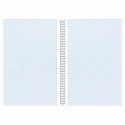 Тетрадь А4, 96 л., BRAUBERG, гребень, клетка, обложка картон, КРАСИВЫЕ ЦВЕТЫ, 403072