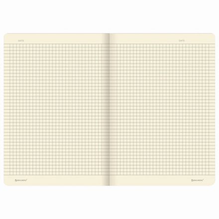 Тетрадь 40 л. в клетку обложка SoftTouch, фольга, бежевая бум. 70 г/м2, сшивка, А5 (147х210 мм), ТУКАН, BRAUBERG, 403775