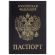 Обложка для паспорта STAFF "Profit", экокожа, "ПАСПОРТ", черная, 237191