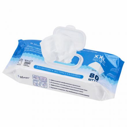 Салфетки влажные для ухода за лежачими больными и интимной гигиены 80 шт., 22х25 см, Д-пантенол, МЕЛОДИЯ, 116527 Салфетки влажные для ухода за лежачими больными и интимной гигиены 80 шт., 22х25 см, Д-пантенол, МЕЛОДИЯ, 116527