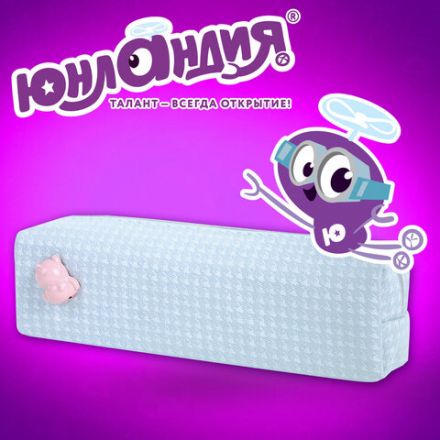 Пенал ЮНЛАНДИЯ ЮНИОР, 1 отделение, полиэстер, аппликация, "Piggy", 20х6х4 см, 273804