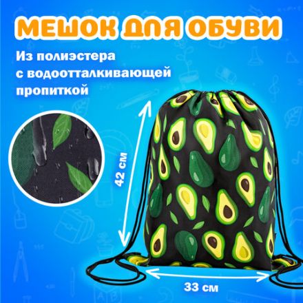 Папка на молнии с ручками А4, мешок для обуви 42х33 см, пенал 20х10 см, "Avocado" НАБОР BRAUBERG, 271433