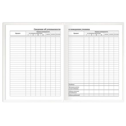 Дневник 1-11 класс 40 л., твердый, BRAUBERG, матовая ламинация, БЕЛЫЙ, 105540