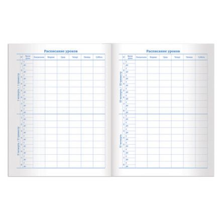 Дневник 1-11 класс 40 л., твердый, BRAUBERG, матовая ламинация, БЕЛЫЙ, 105540