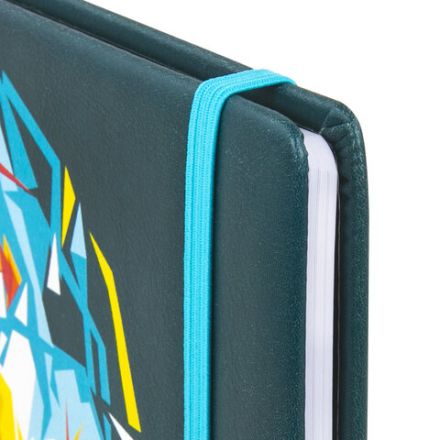 Дневник 1-11 класс 48 л., кожзам (твердая), печать, резинка, конверт, BRAUBERG, "Bright Lion", 106577