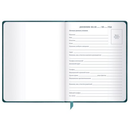 Дневник 1-11 класс 48 л., кожзам (твердая), печать, резинка, конверт, BRAUBERG, "Bright Lion", 106577