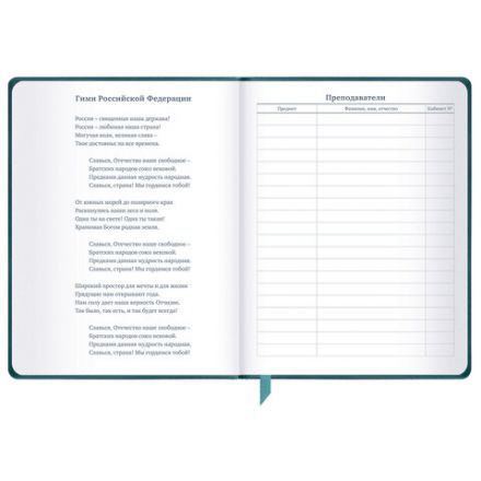 Дневник 1-11 класс 48 л., кожзам (твердая), печать, резинка, конверт, BRAUBERG, "Bright Lion", 106577