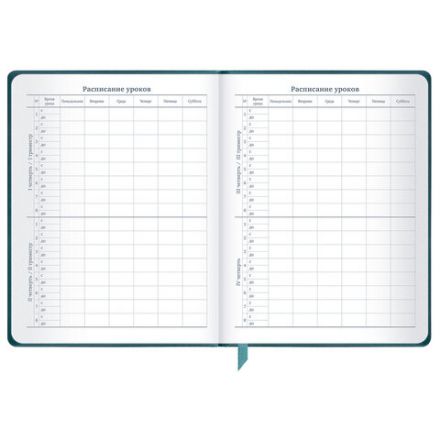 Дневник 1-11 класс 48 л., кожзам (твердая), печать, резинка, конверт, BRAUBERG, "Bright Lion", 106577