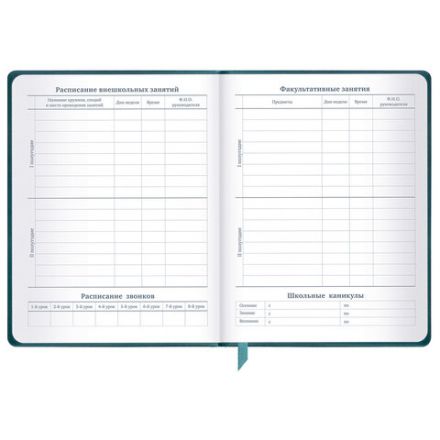 Дневник 1-11 класс 48 л., кожзам (твердая), печать, резинка, конверт, BRAUBERG, "Bright Lion", 106577