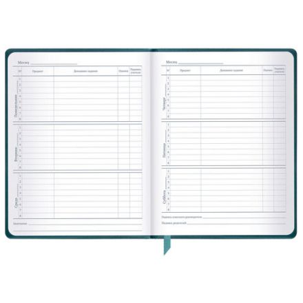 Дневник 1-11 класс 48 л., кожзам (твердая), печать, резинка, конверт, BRAUBERG, "Bright Lion", 106577