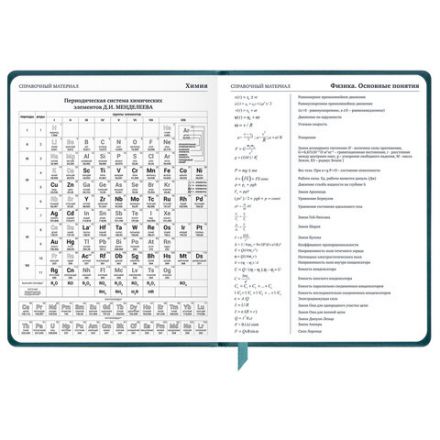 Дневник 1-11 класс 48 л., кожзам (твердая), печать, резинка, конверт, BRAUBERG, "Bright Lion", 106577