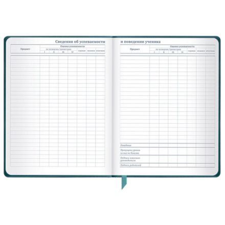 Дневник 1-11 класс 48 л., кожзам (твердая), печать, резинка, конверт, BRAUBERG, "Bright Lion", 106577