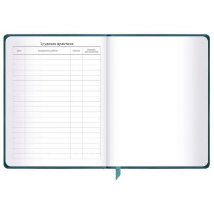 Дневник 1-11 класс 48 л., кожзам (твердая), печать, резинка, конверт, BRAUBERG, "Bright Lion", 106577