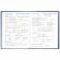 Дневник 5-11 класс 48 л., твердый, BRAUBERG, глянцевая ламинация, с подсказом, "Символика", 106878