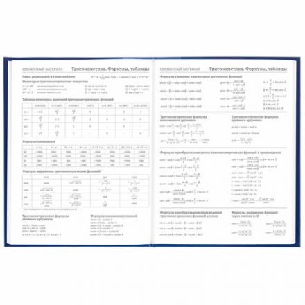 Дневник 5-11 класс 48 л., твердый, BRAUBERG, глянцевая ламинация, с подсказом, "Символика", 106878