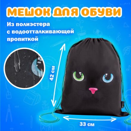 Папка на молнии с ручками А4, мешок для обуви 42х33 см, пенал 20х10 см, "Black cat" НАБОР BRAUBERG, 271434