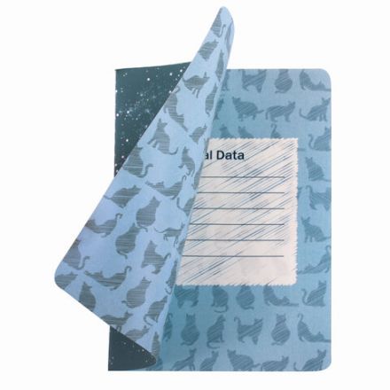 Тетрадь 40 л. в клетку обложка SoftTouch, бежевая бумага 70 г/м2, сшивка, А5 (147х210 мм), ВОЛК В ОЧКАХ, BRAUBERG, 403767 Тетрадь 40 л. в клетку обложка SoftTouch, бежевая бумага 70 г/м2, сшивка, А5 (147х210 мм), ВОЛК В ОЧКАХ, BRAUBERG, 403767