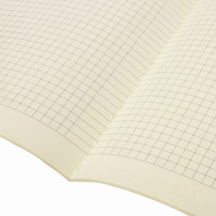 Тетрадь 40 л. в клетку обложка SoftTouch, бежевая бумага 70 г/м2, сшивка, А5 (147х210 мм), ВОЛК В ОЧКАХ, BRAUBERG, 403767 Тетрадь 40 л. в клетку обложка SoftTouch, бежевая бумага 70 г/м2, сшивка, А5 (147х210 мм), ВОЛК В ОЧКАХ, BRAUBERG, 403767