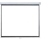 Экран Lumien (LEP-100101) [Eco Picture] настенный, 1:1, 150х150см