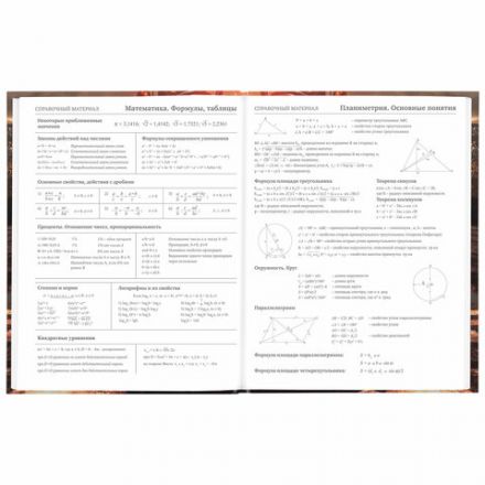 Дневник 5-11 класс 48 л., твердый, BRAUBERG, глянцевая ламинация, с подсказом, "Байк", 106867