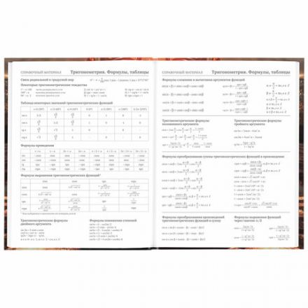 Дневник 5-11 класс 48 л., твердый, BRAUBERG, глянцевая ламинация, с подсказом, "Байк", 106867