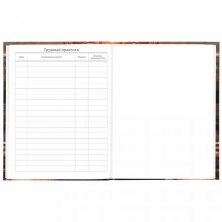 Дневник 5-11 класс 48 л., твердый, BRAUBERG, глянцевая ламинация, с подсказом, "Байк", 106867