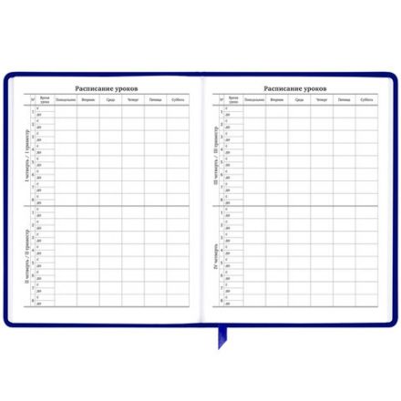 Дневник 1-11 класс 48 л., кожзам (твердая с поролоном), фольга, BRAUBERG HOLIDAY, "Good Idea", 106567