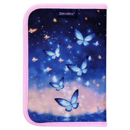 Пенал BRAUBERG с наполнением, 1 отделение, 1 откидная планка, 24 предмета, 21х14 см, "Night catcher", 273530