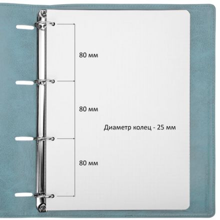 Тетрадь на кольцах БОЛЬШАЯ А4 (240х310 мм), 120 листов, под кожу, клетка, BRAUBERG "Joy", бирюзовый/серо-голубой, 404507
