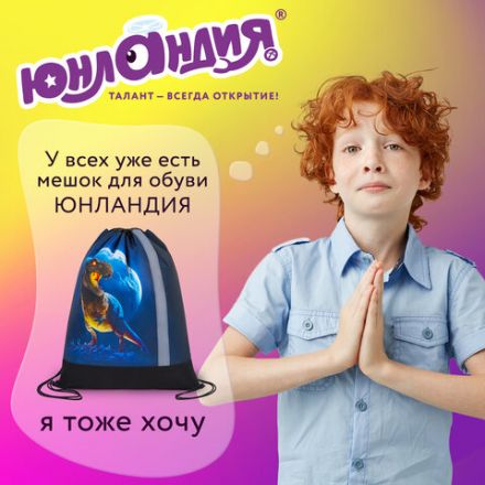 Мешок для обуви ЮНЛАНДИЯ, плотный, светоотражающая полоса, 46х36 см, "Beware", 272412