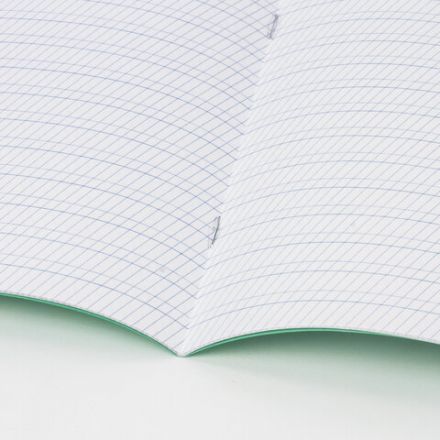 Тетрадь ВЕЛИКИЕ ИМЕНА. Толстой Л.Н., 12 л. частая косая линия, плотная бумага 80 г/м2, обложка тонированный офсет, BRAUBERG, 105719