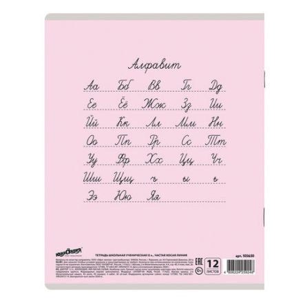 Тетрадь 12 л. ЮНЛАНДИЯ КЛАССИЧЕСКАЯ, частая косая линия, обложка картон, АССОРТИ 5 видов, 105650