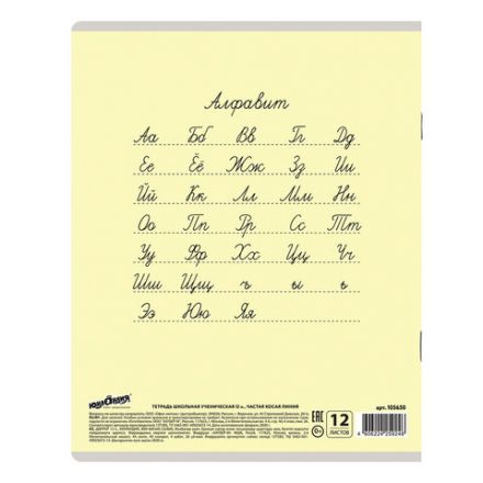 Тетрадь 12 л. ЮНЛАНДИЯ КЛАССИЧЕСКАЯ, частая косая линия, обложка картон, АССОРТИ 5 видов, 105650