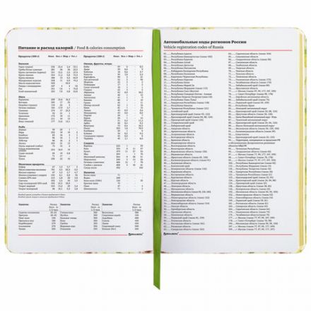 Ежедневник недатированный B6 (127х186 мм), BRAUBERG VISTA, под кожу, твердый, 136 л., "Avocado", 112112