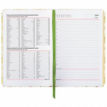 Ежедневник недатированный B6 (127х186 мм), BRAUBERG VISTA, под кожу, твердый, 136 л., "Avocado", 112112