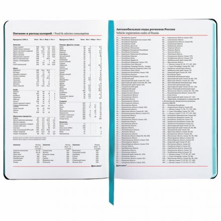 Ежедневник недатированный B6 (127х186 мм), BRAUBERG VISTA, под кожу, гибкий, 136 л., "Great Britain", 112108