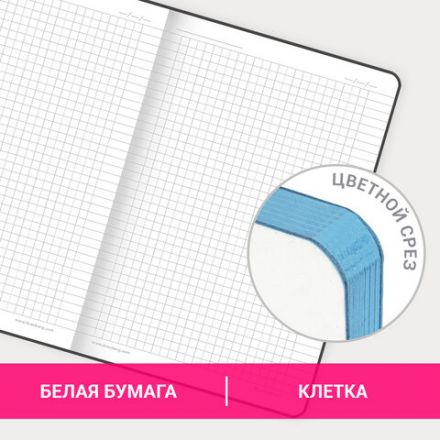 Блокнот А5 (143x210 мм), BRAUBERG VISTA "Bay of joy", под кожу, гибкий, 80 л., 112086 Блокнот А5 (143x210 мм), BRAUBERG VISTA "Bay of joy", под кожу, гибкий, 80 л., 112086