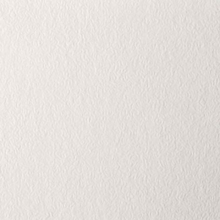 Бумага для пастели А4, 20 л., бумага слоновая кость ГОЗНАК 200 г/м2, тиснение Скорлупа, BRAUBERG ART, 126306