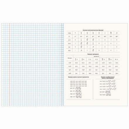 Тетради предметные, КОМПЛЕКТ 12 ПРЕДМЕТОВ, 48 листов, обложка картон, BRAUBERG, "ПАСТЕЛЬНАЯ", 404026