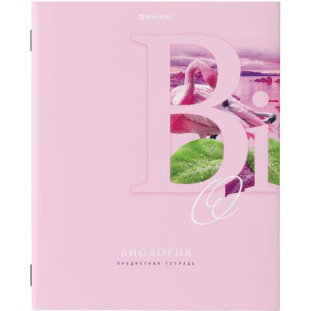 Тетради предметные, КОМПЛЕКТ 12 ПРЕДМЕТОВ, 48 листов, обложка картон, BRAUBERG, "ПАСТЕЛЬНАЯ", 404026