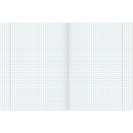 Тетради предметные, КОМПЛЕКТ 12 ПРЕДМЕТОВ, 48 листов, обложка картон, BRAUBERG, "ПАСТЕЛЬНАЯ", 404026