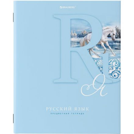 Тетради предметные, КОМПЛЕКТ 12 ПРЕДМЕТОВ, 48 листов, обложка картон, BRAUBERG, "ПАСТЕЛЬНАЯ", 404026