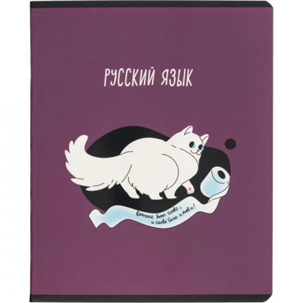 Тетрадь предметная набор Комус Класс  Котики 12 шт., 48., А5