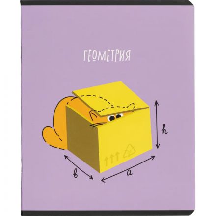 Тетрадь предметная набор Комус Класс  Котики 12 шт., 48., А5