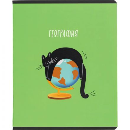 Тетрадь предметная набор Комус Класс  Котики 12 шт., 48., А5