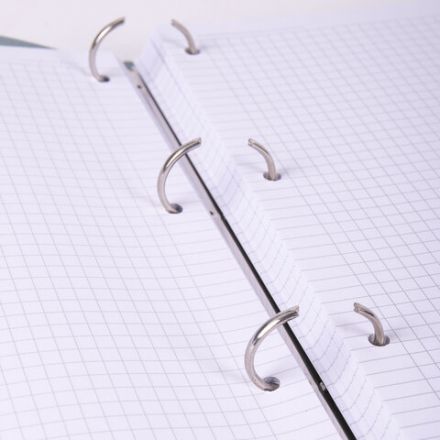 Тетрадь на кольцах БОЛЬШАЯ А4 (240х310 мм), 120 листов, под кожу, клетка, BRAUBERG "Joy", зелёный/светло-зелёный, 404508