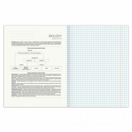 Тетрадь предметная "SPORT CLUB" 48 л., обложка картон, БИОЛОГИЯ, клетка, подсказ, BRAUBERG, 404797 Тетрадь предметная "SPORT CLUB" 48 л., обложка картон, БИОЛОГИЯ, клетка, подсказ, BRAUBERG, 404797